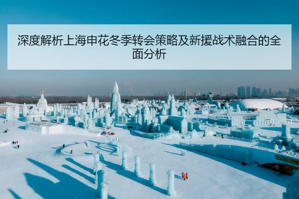 深度解析上海申花冬季转会策略及新援战术融合的全面分析
